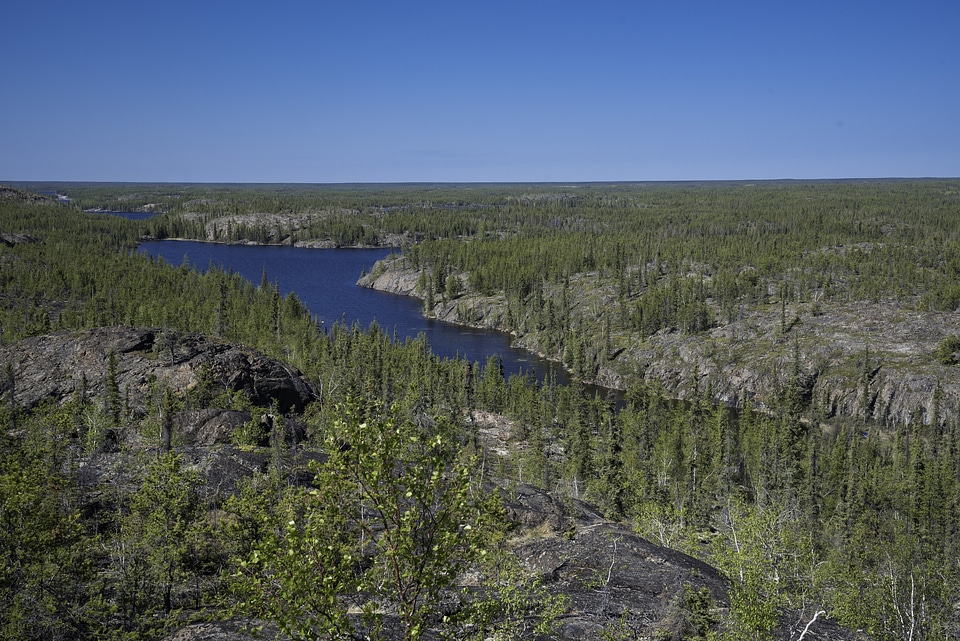 Long Blue lake in the middle of Pine Forest on the Ingraham Trail