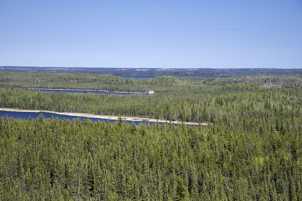 Lakes cutting into the Pine Forest Landscape on the Ingraham Trail