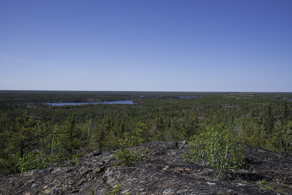 Overlook of Lakes and Pine Forest Landscape on the Ingraham Trail