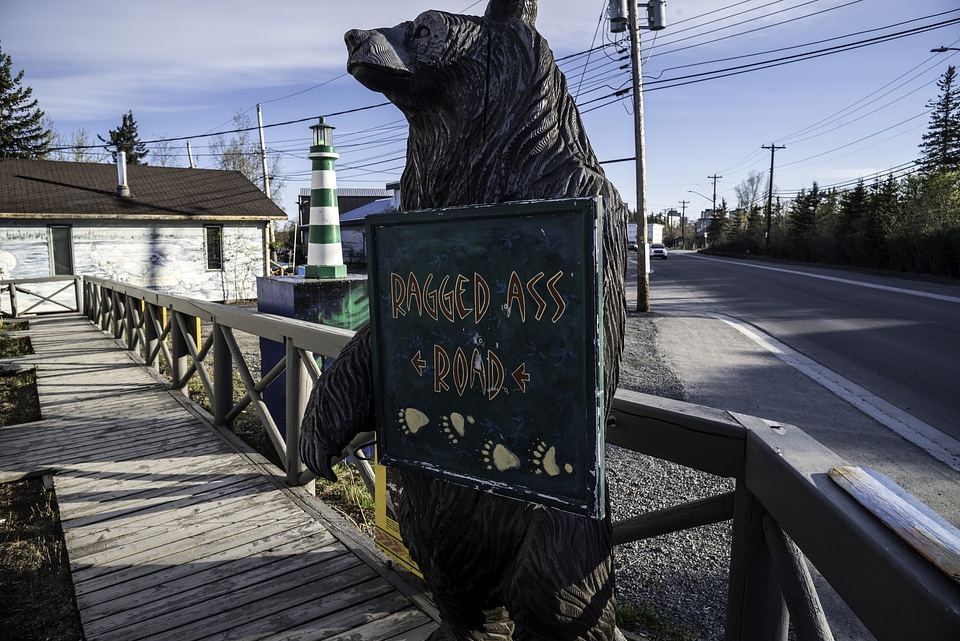 Bear Holding a Ragged-Ass road sign, Yellowknife