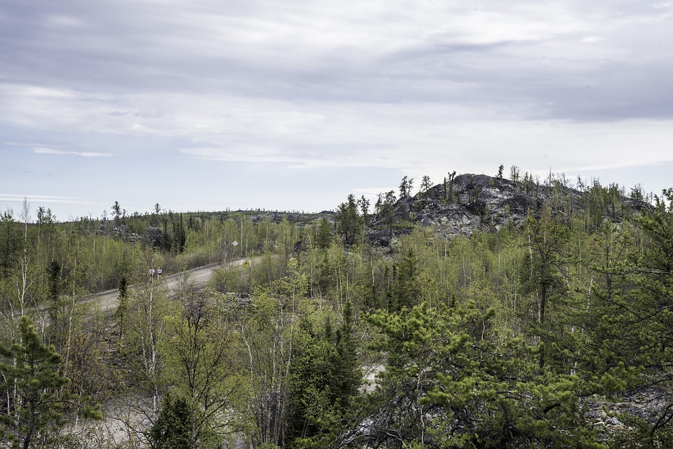 Hilltops with trees and landscapes on the Ingraham Trail