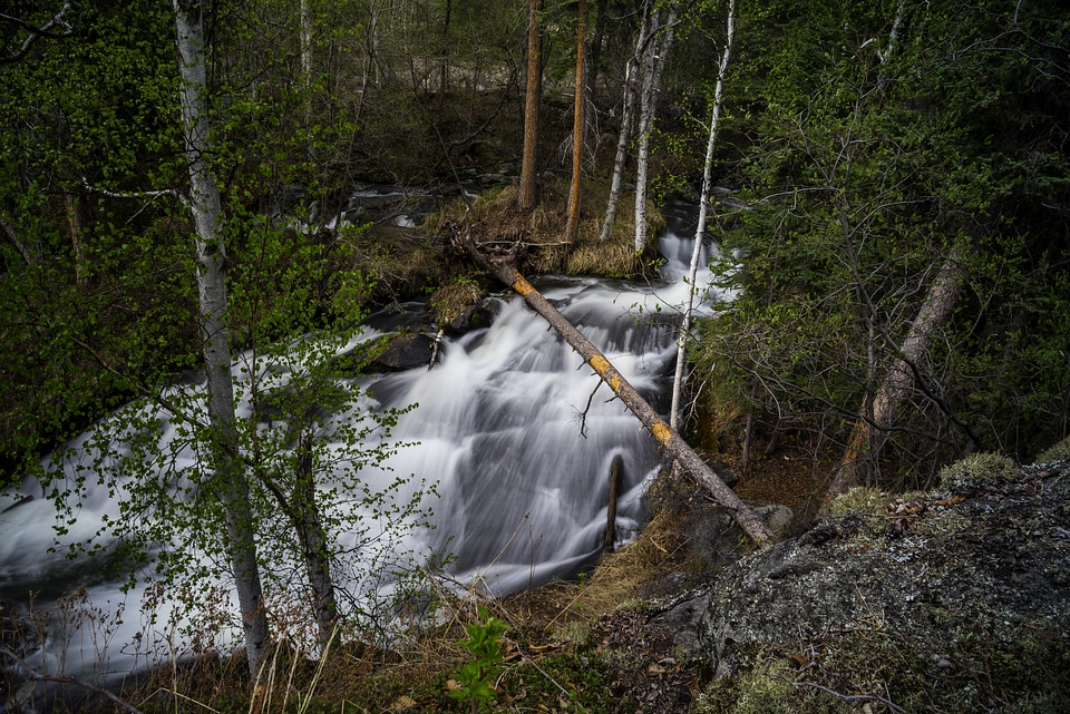 Trees and nature scenery of the smaller side of Cameron Falls