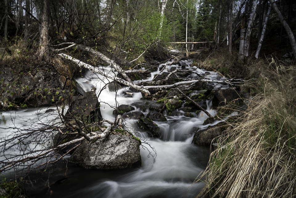 Cascading Rapids through the brook and forest on the Ingraham Trail