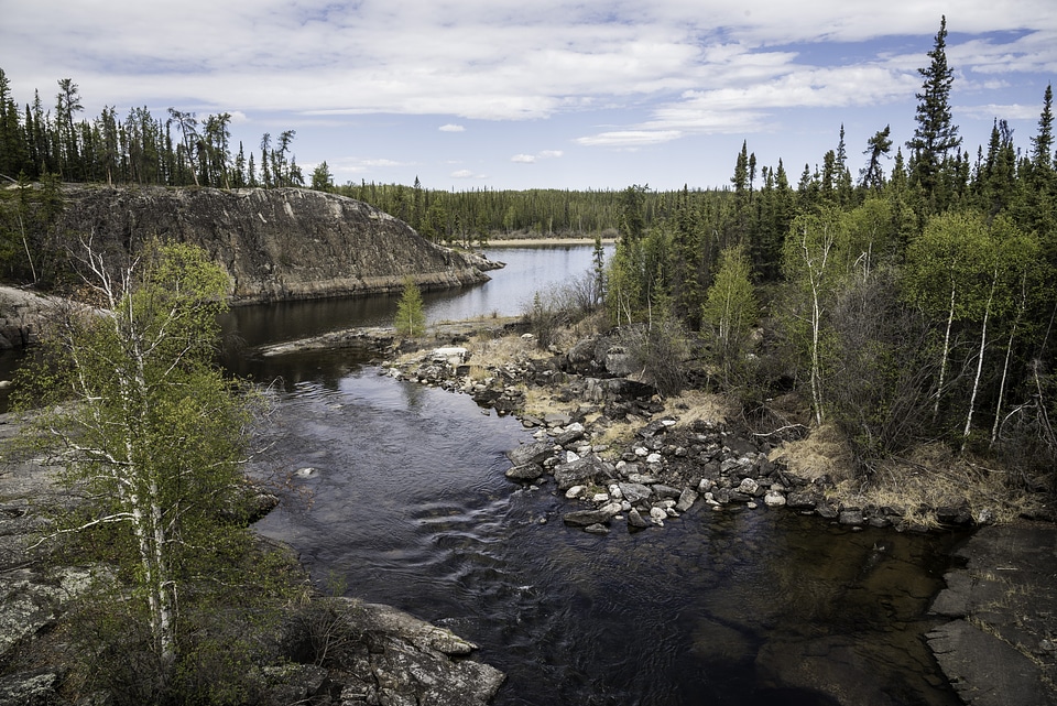 Upstream landscape on the Cameron River on the Ingraham Trail