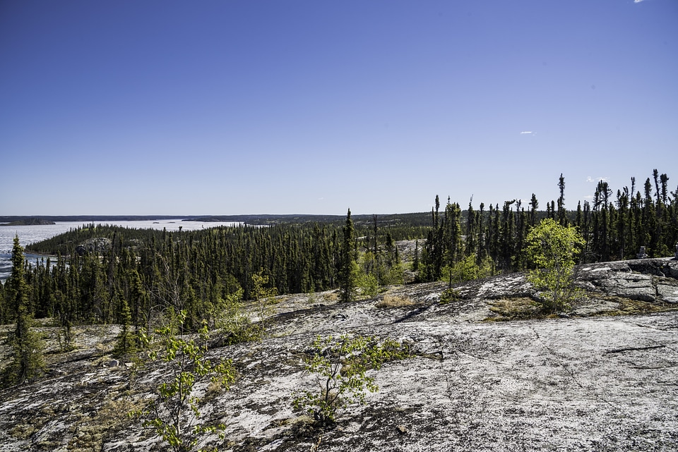 Prelude lake with trees and forest landscape on the Ingraham Trail