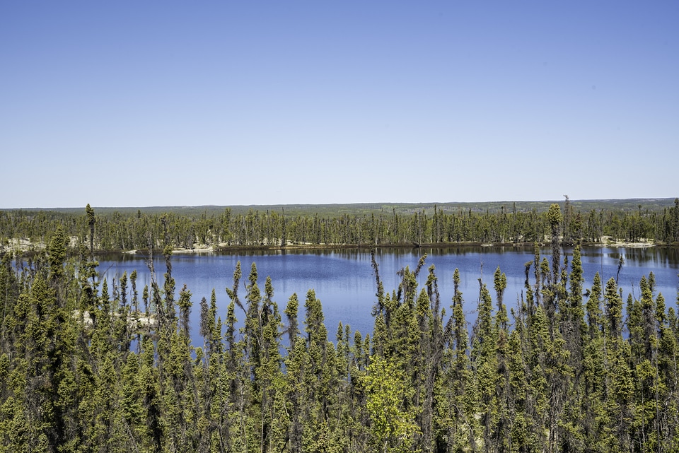 Pond in the forest overlook on the Ingraham Trail