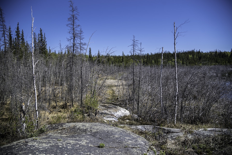 Trees, rocks, and landscape on the Ingraham Trail photo