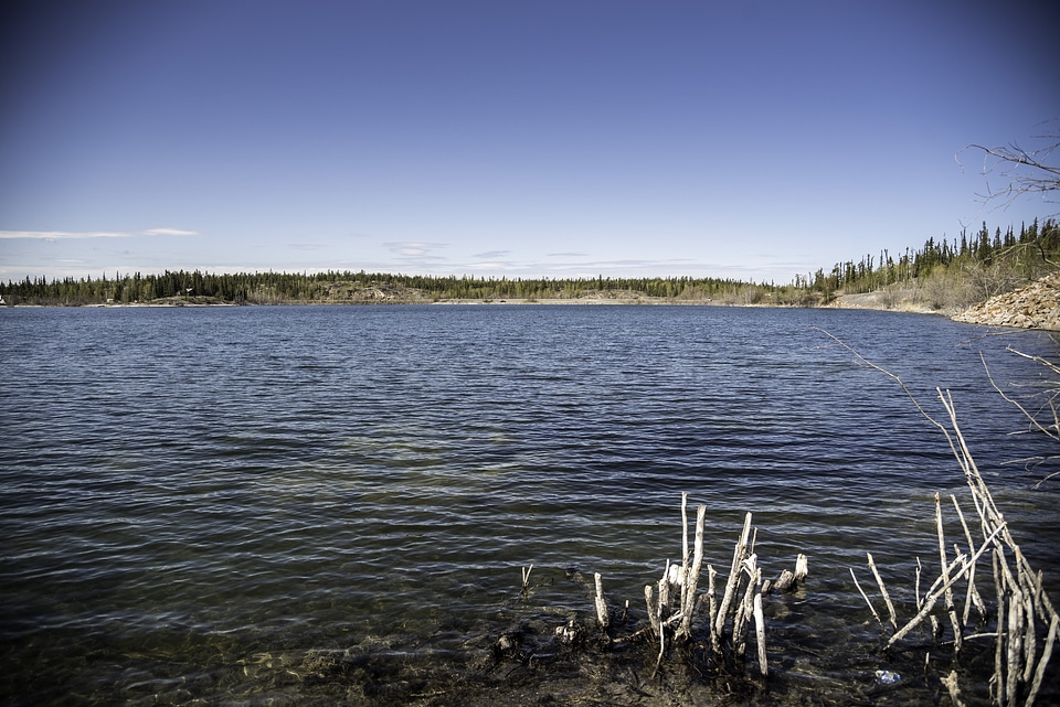 Marshy and lake landscape on the Ingraham Trail