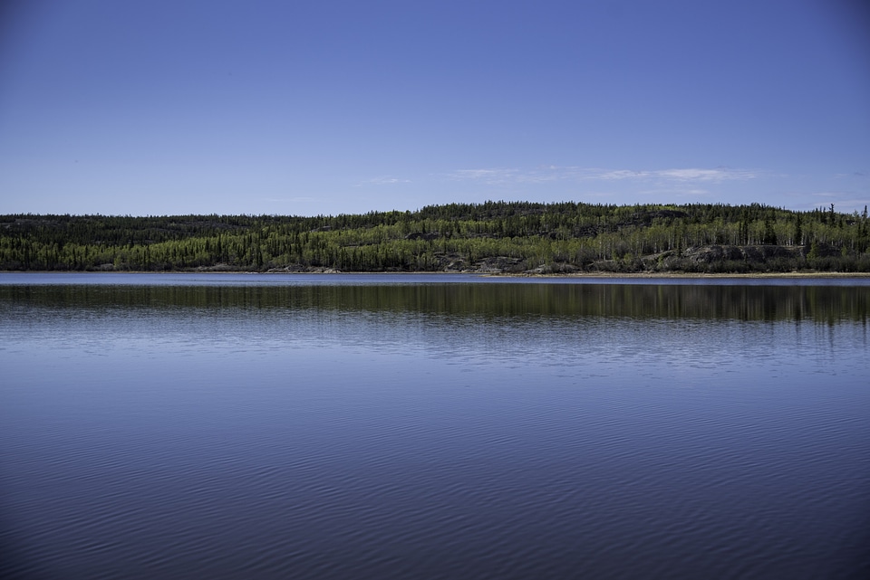 Lake and shoreline landscape on the Ingraham Trail