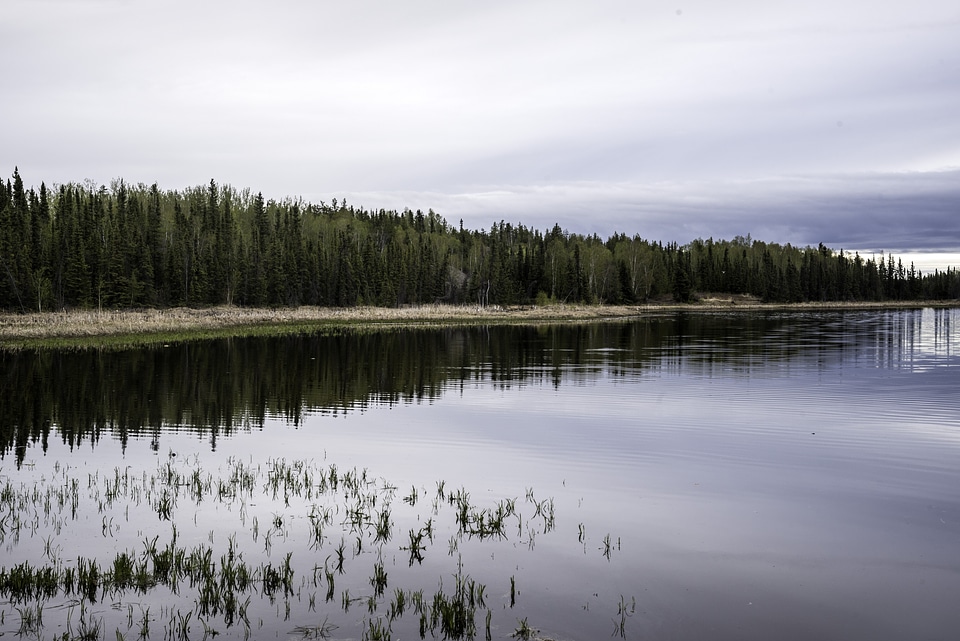 Shoreline Landscape of Vee Lake under Clouds