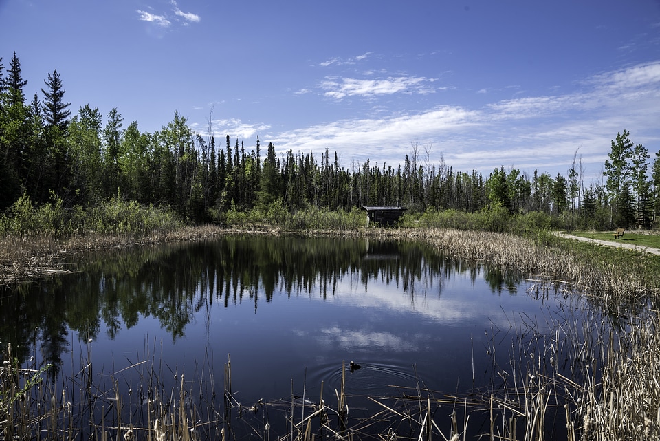 Pond Landscape at the Welcoming Center, Northwest Territories