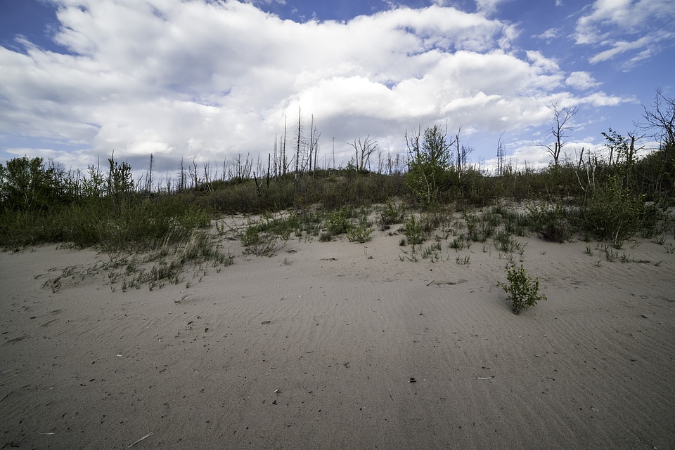 Clouds over the Sand dunes at Lesser Slave Lake Provincial Park