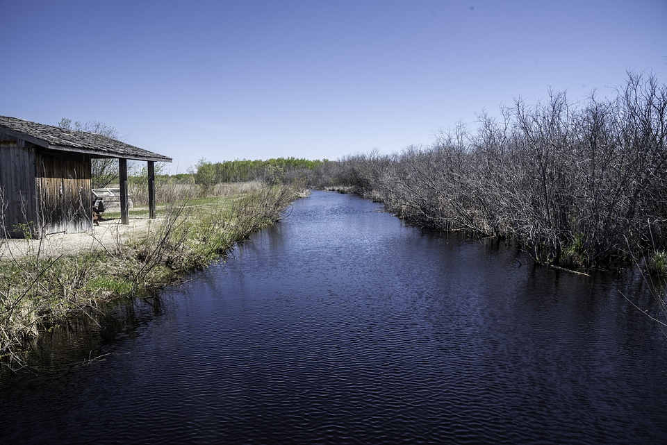 Creek through the Marsh at Hecla Provincial Park