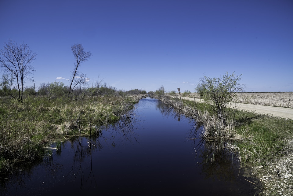 Channel in the marsh near the road at Hecla Provincial Park