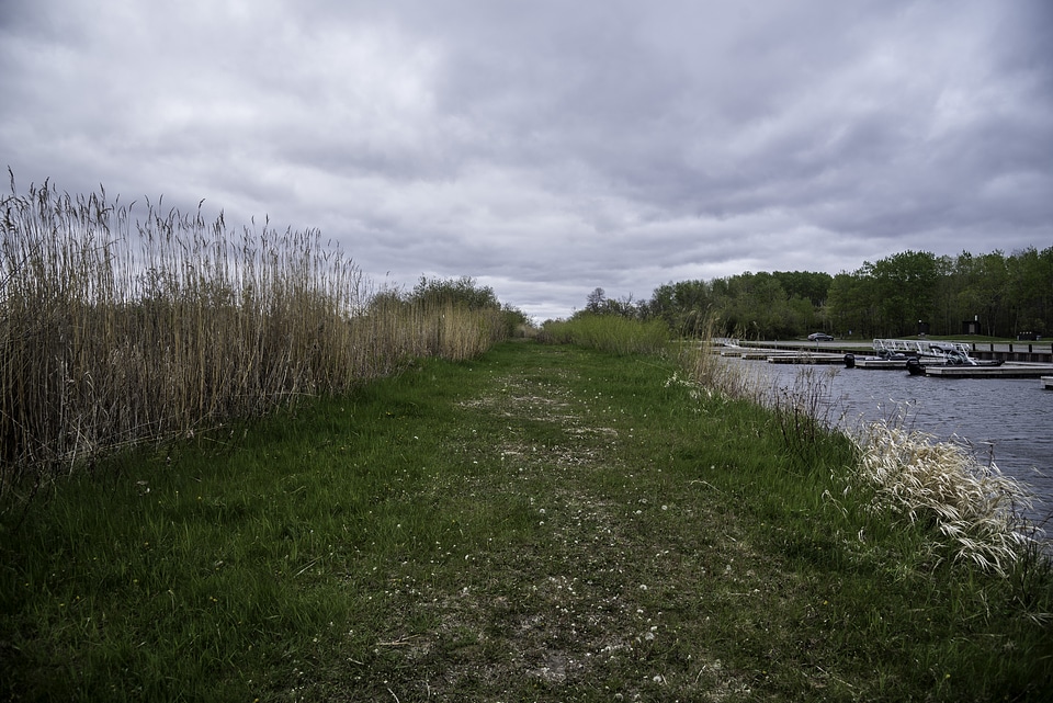 Grassy path and Boat Docks at Zippel Bay State Park, Minnesota