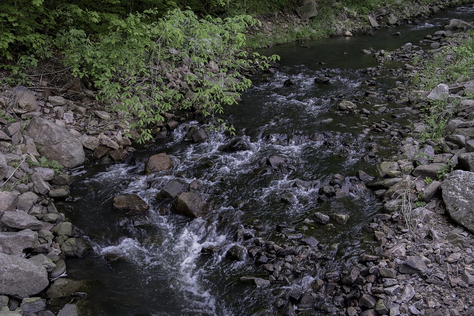 Rapids in the creek at Baxter's Hollow, Wisconsin
