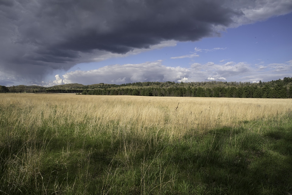 Storm clouds over the landscape with trees at Quincy Bluff, Wisconsin