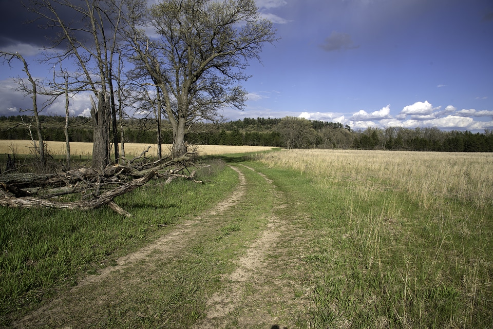 Trail landscape at Quincy Bluff, Wisconsin