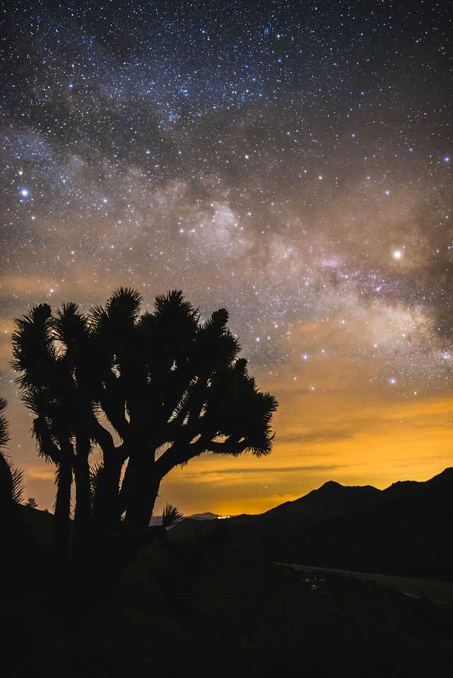 Milky Way Galaxy above the trees at Owen's Peak