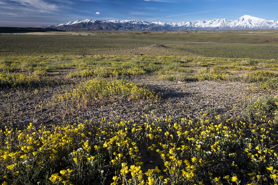 Volcanic Tablelands with mountains in the distance