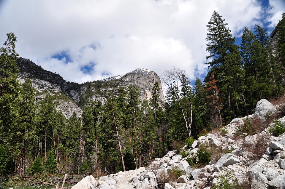 Yosemite Valley landscape with trees
