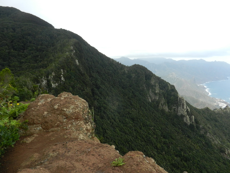 Mountain landscape with trees