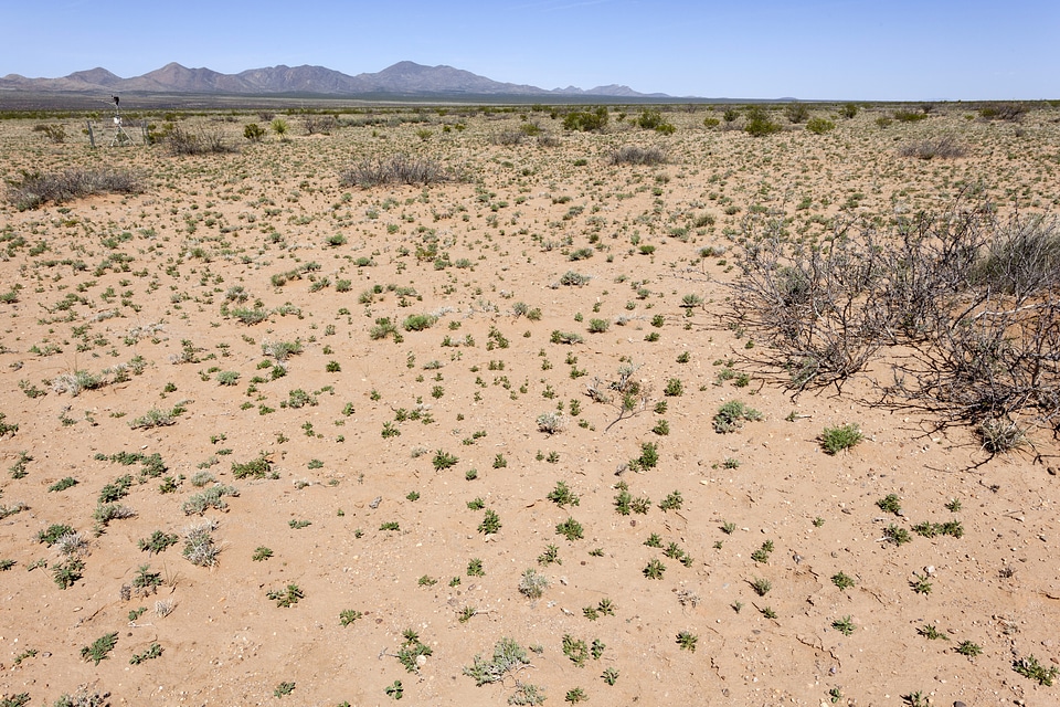Hachita Valley desert landscape in New Mexico