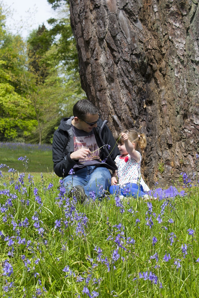 Flowers spring laughter