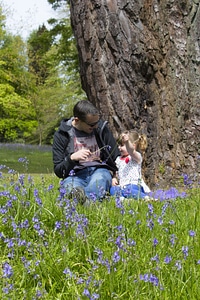 Flowers spring laughter