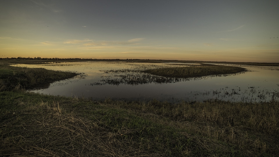 Dusk over the Marsh landscape at Crex Meadows photo