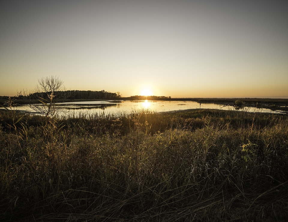 Sunset Landscape over Horicon Marsh
