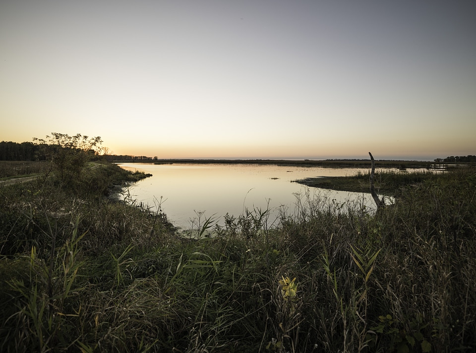 Lagoon and Marsh landscape at Horicon