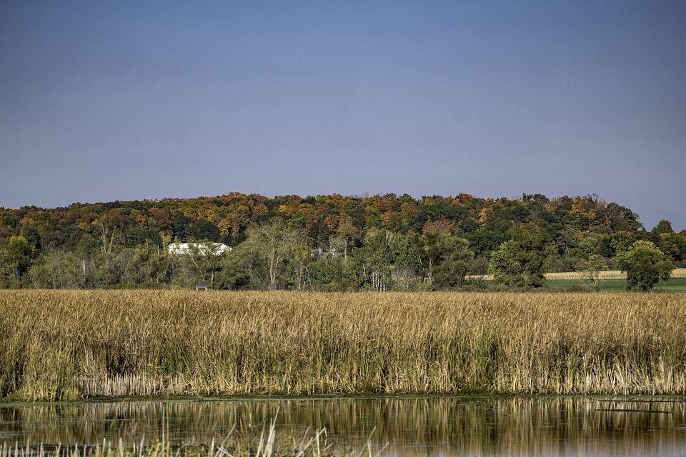 Far off landscape with autumn tree colors across a pond