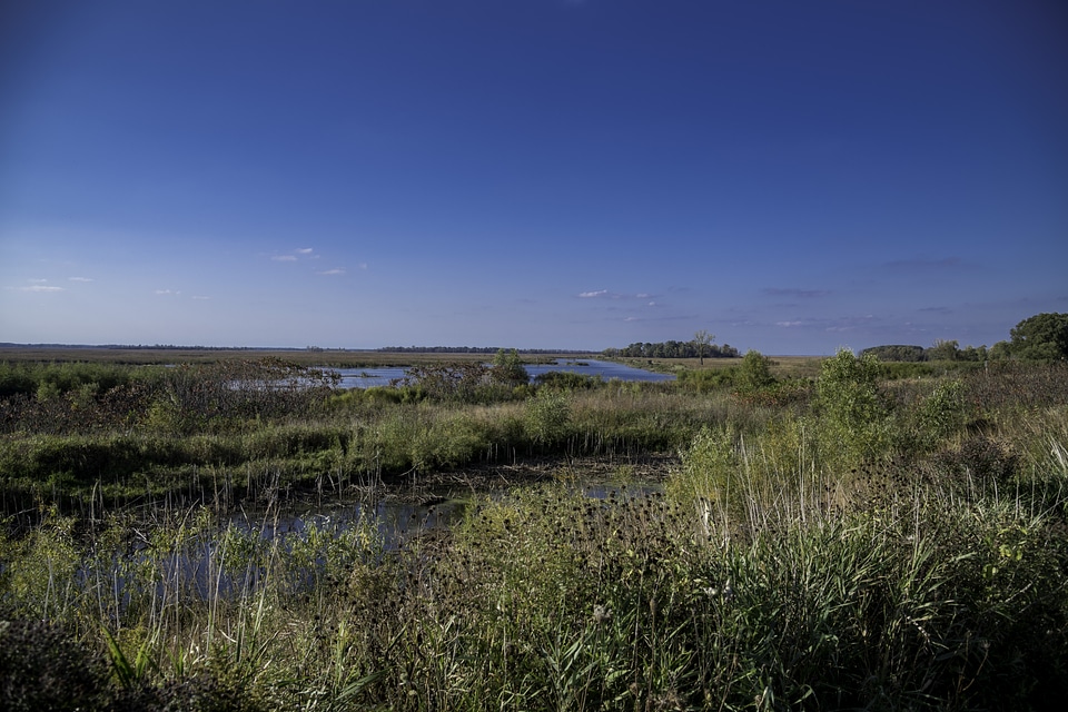 Overlook landscape at Horizon Marsh, Wisconsin photo
