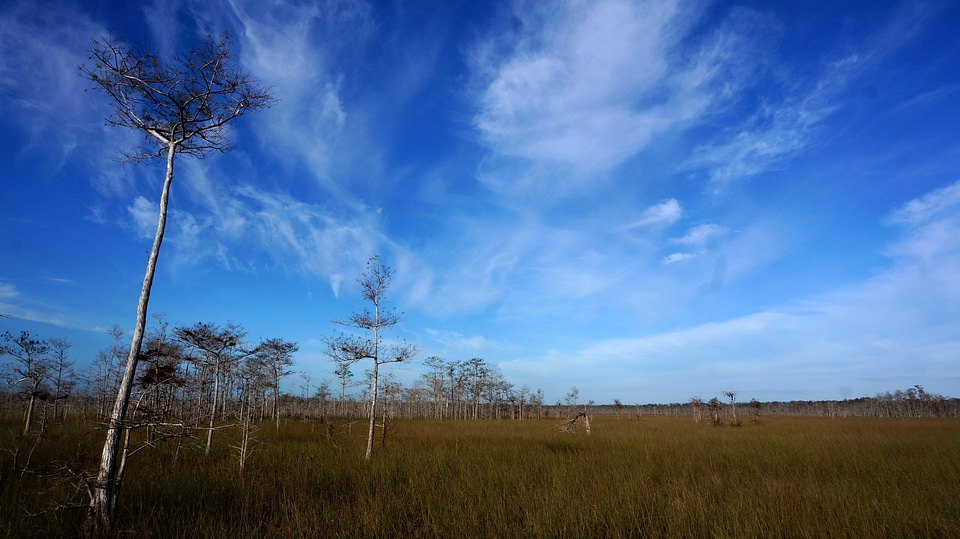 Sky and Clouds over the swamp at Big Cypress National Reserve, Florida