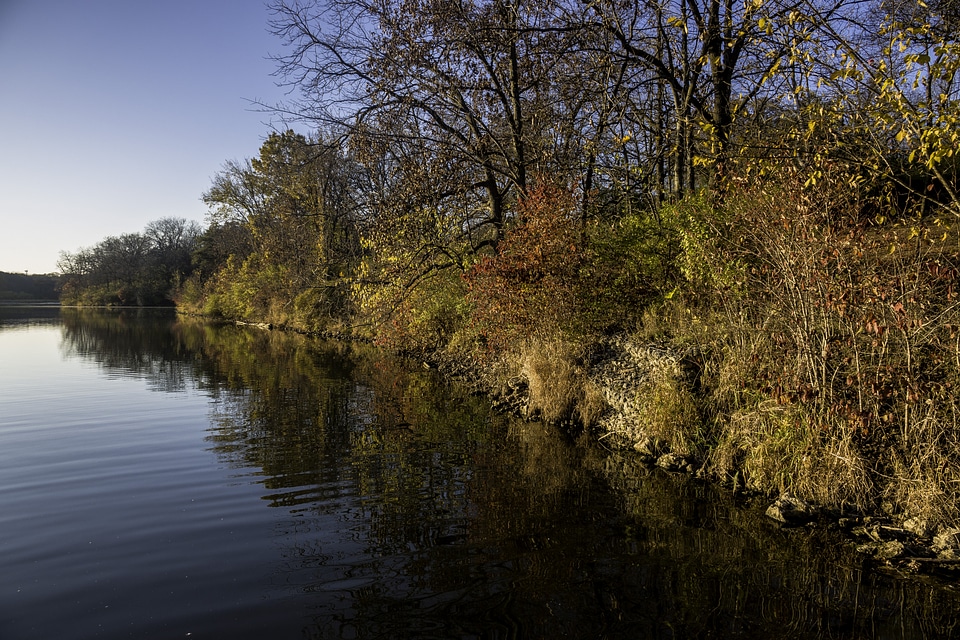 Shoreline with leaves and trees at Le Aqua Na State Park, Illinois