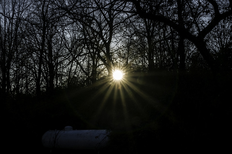 Large Sunlight through the Trees at Lake Le Aqua Na State Park