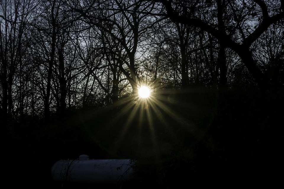 Large Sunlight through the Trees at Lake Le Aqua Na State Park photo