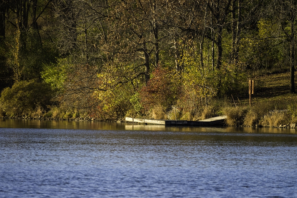 Lakeshore landscape with trees in Le Aqua Na State Park