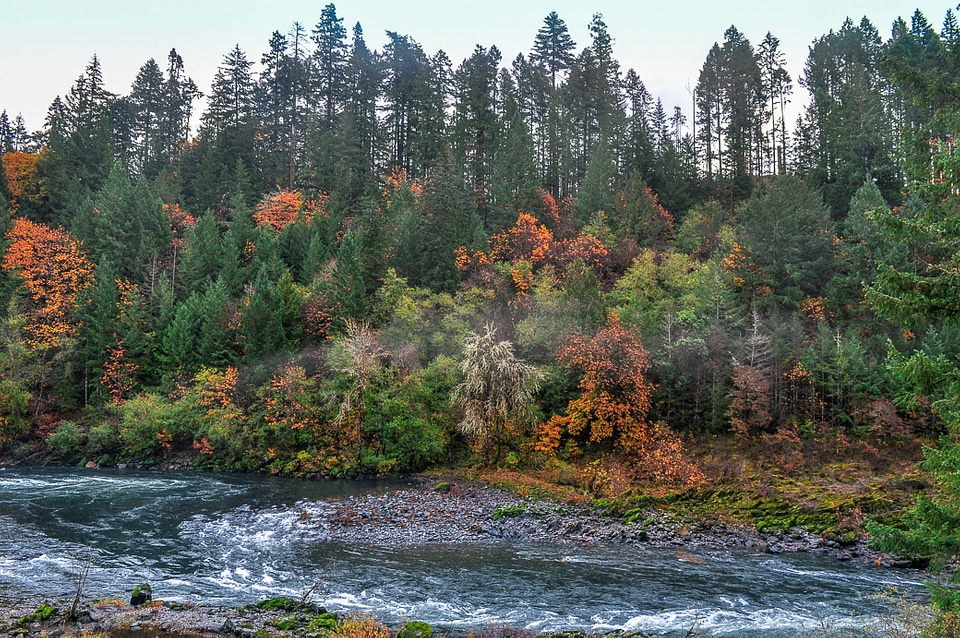 Fall Scenery on the North Umpqua River