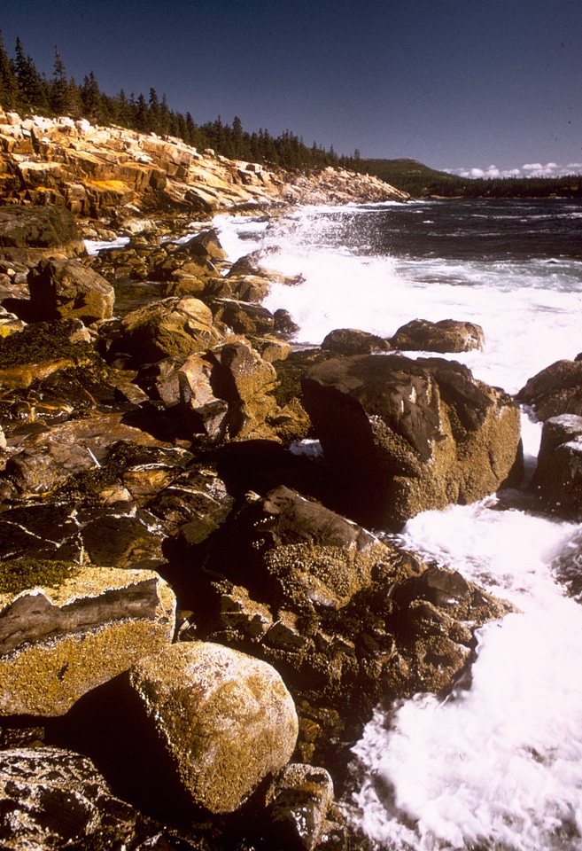 Shoreline and waves at Acadia National Park, Maine
