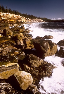 Shoreline and waves at Acadia National Park, Maine photo