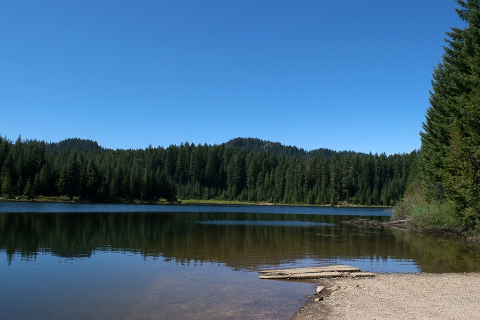 Landscape by Hemlock lake, Oregon