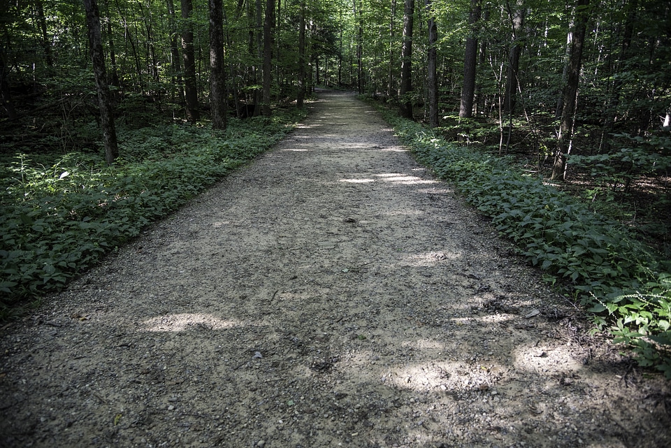 Path of the ledges Trail in Cayuhoga Valley National Park, Ohio