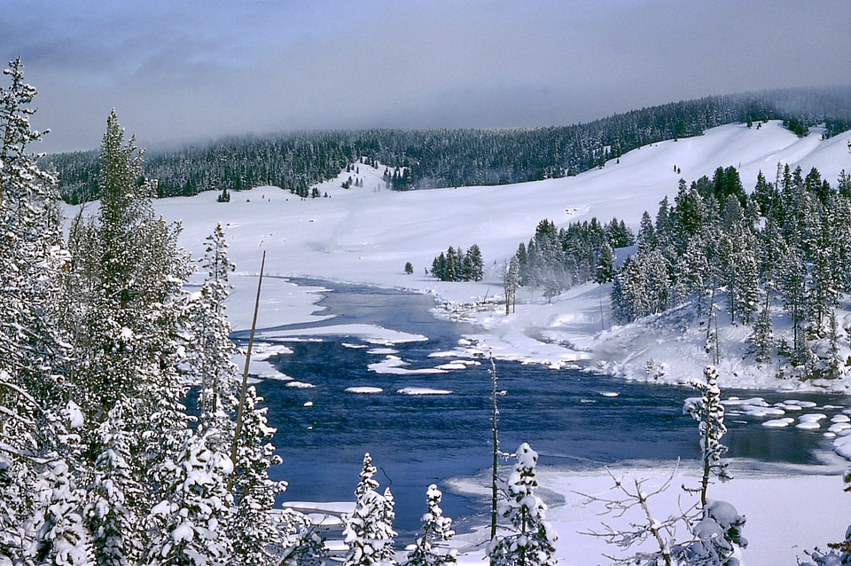 Winter landscape scene in Yellowstone National Park, Wyoming