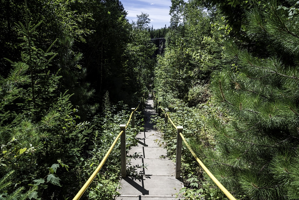 Stairs down the Canyon between the trees in Eagle Canyon, Ontario