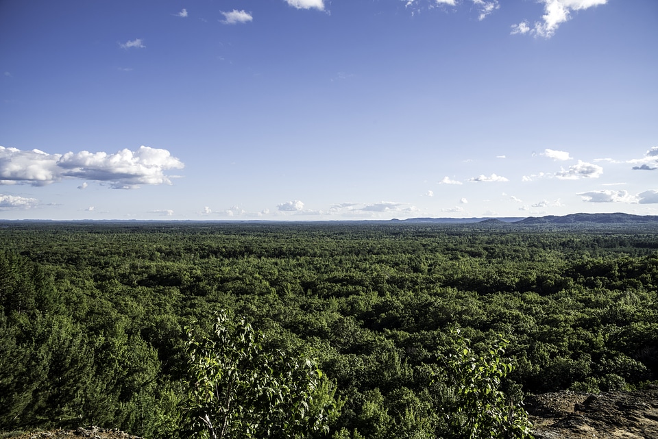 Trees and sky to the Horizon at Levis Mound, Wisconsin