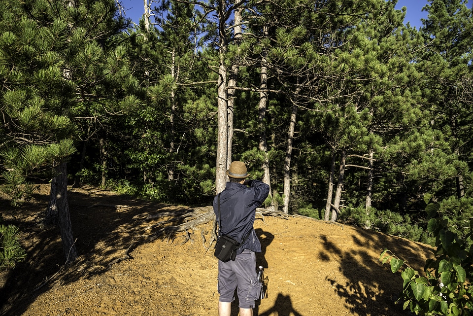 Man taking picture of trees at Levis Mound, Wisconsin