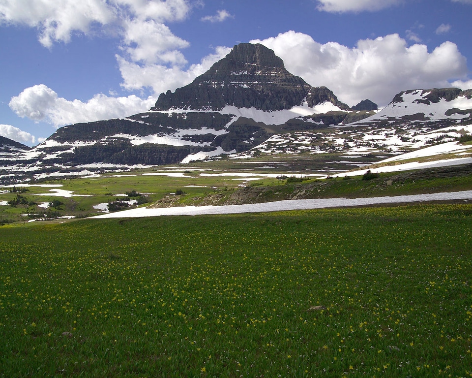 Logan Pass with Mount Reynolds at Glacier National Park, Montana