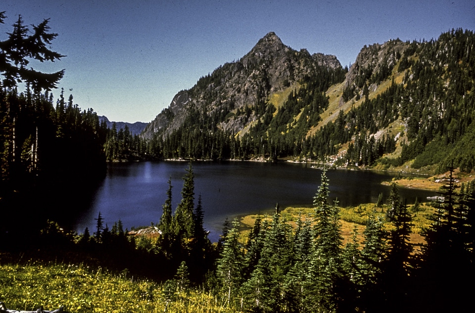 Scenery from Olympic National Park in Washington